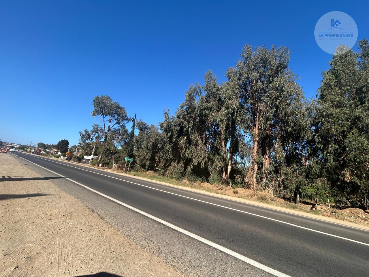 VENTA TERRENO COMERCIAL MAITENCILLO